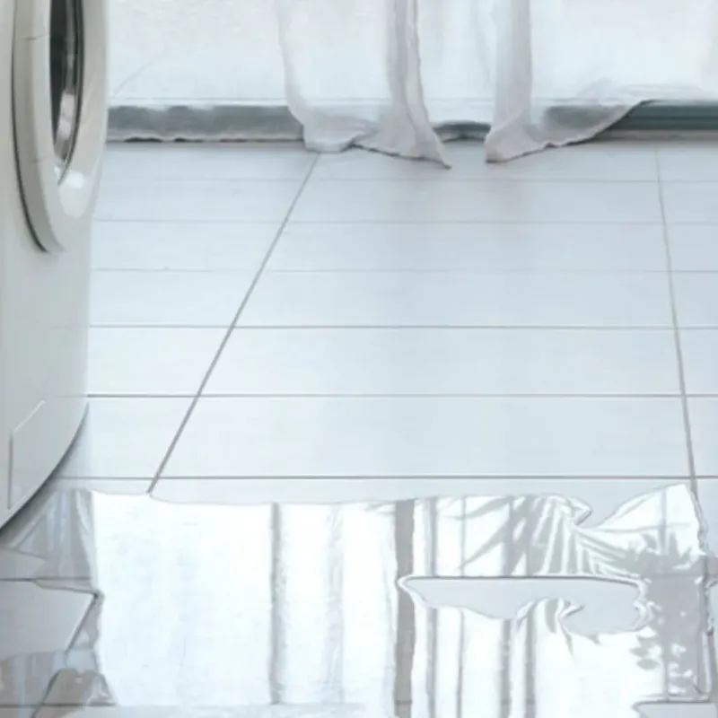 Appliance Leak Cleanup in West Springfield, VA